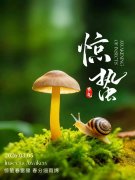 <b>惊蛰启蛰，贤道护航——贤道逃生管道伴您筑牢工程安全防线</b>