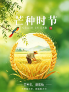 <b>芒种至，耕耘不止｜贤道以匠心深耕桥隧，步履奔赴新程</b>