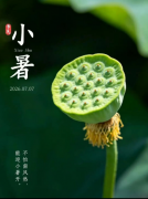 <b>小暑至，守平安｜盛夏施工正当时，贤道筑牢工程安全防线</b>