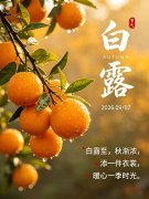 <b>白露至秋意浓｜贤道新材料：以匠心守护隧道施工平安</b>