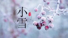 “小雪雪满天，来年必丰年”