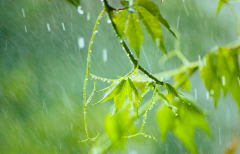 夏天雨季来临 河南贤道温馨提醒广大朋友注意出行安全及防灾害