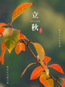 <strong>立秋：藏在时光褶皱里的守护</strong>